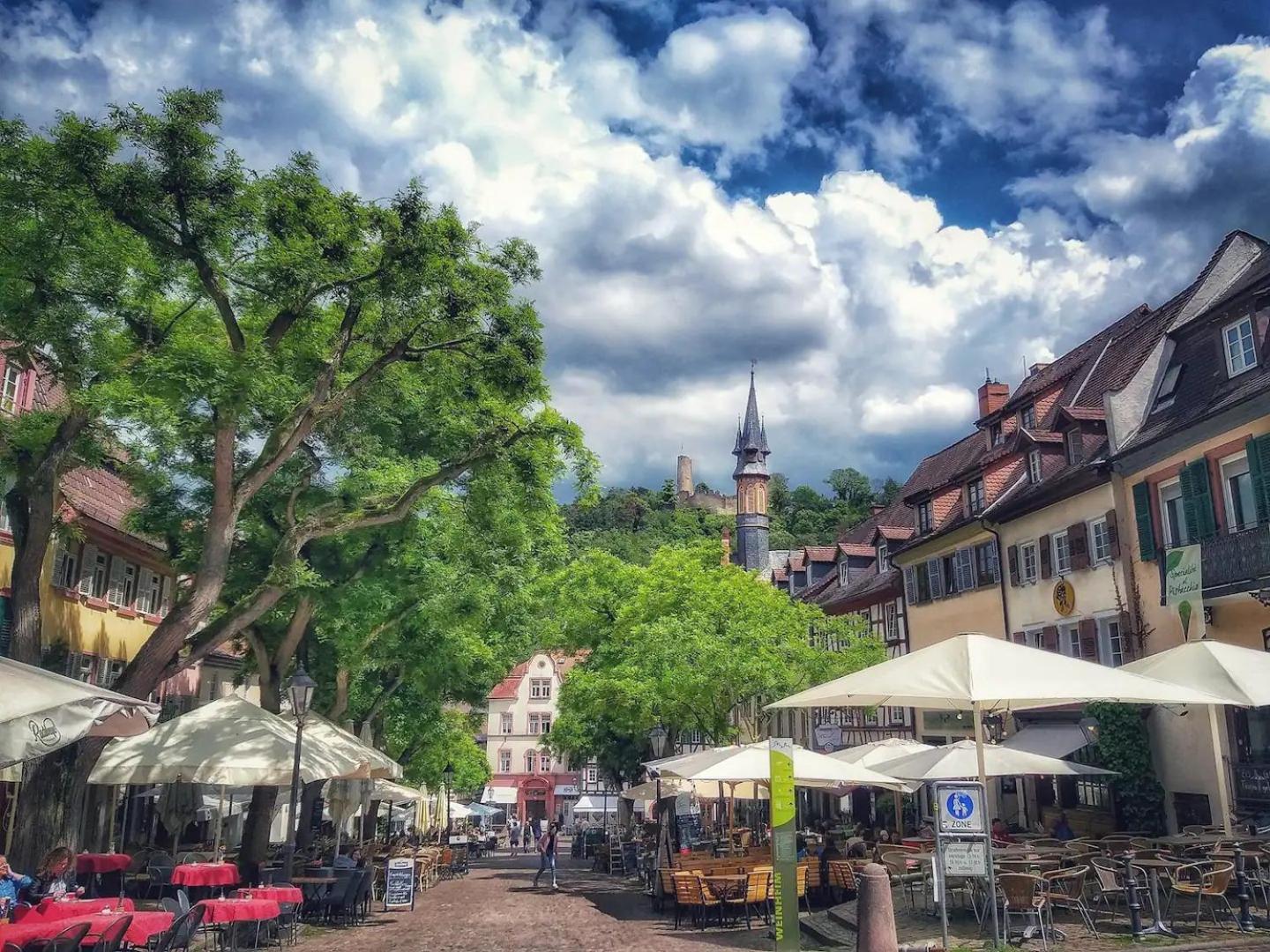 Appartement Charmante Wohnung, Mit Sauna Und Garten, Toplage! Weinheim