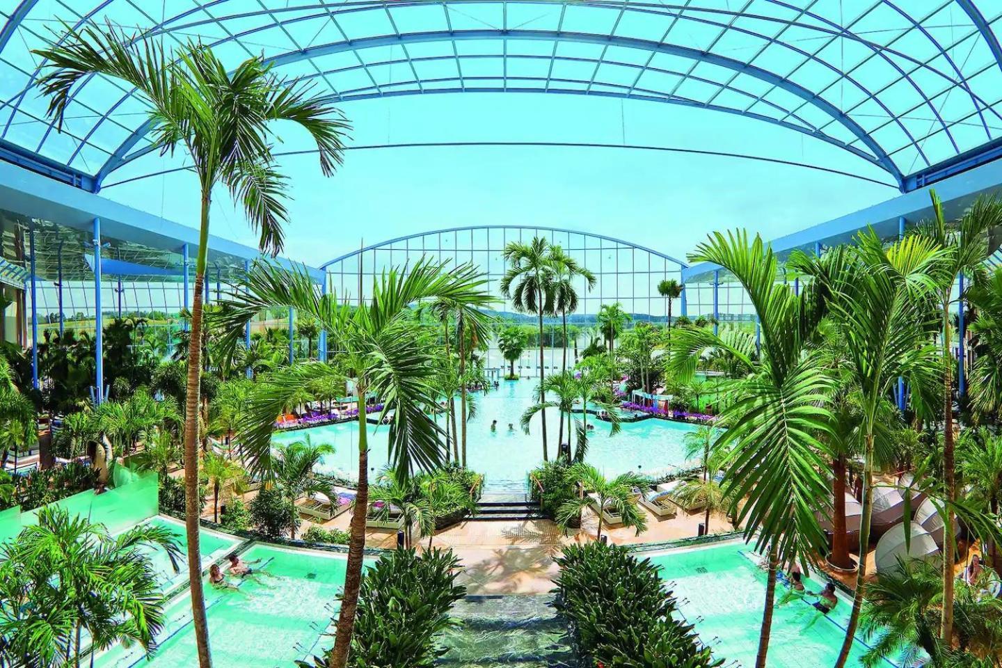 Appartement Charmante Wohnung, Mit Sauna Und Garten, Toplage!